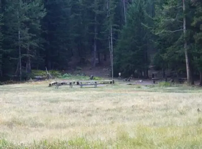 LORISTICA GROUP CAMPGROUND