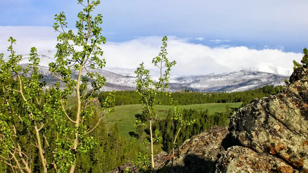 MIDDLE FORK