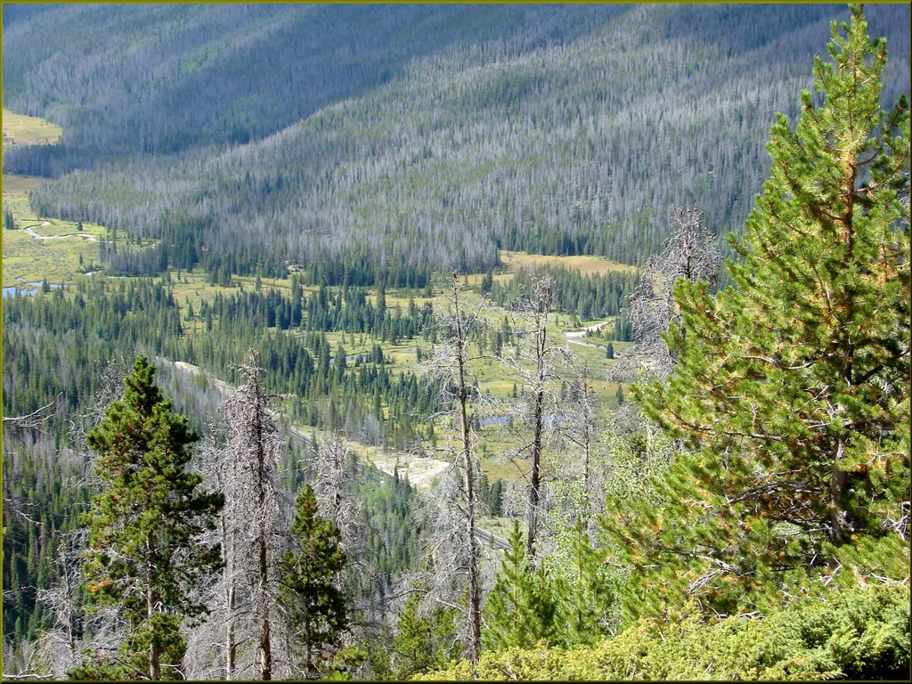 Beaver Creek Picnic Area