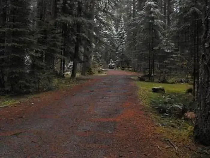 FRISSELL CROSSING CAMPGROUND