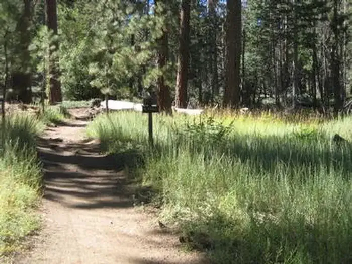 DEER GROUP CAMP