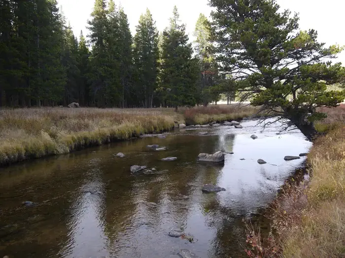 PINE ISLAND GROUP AREA