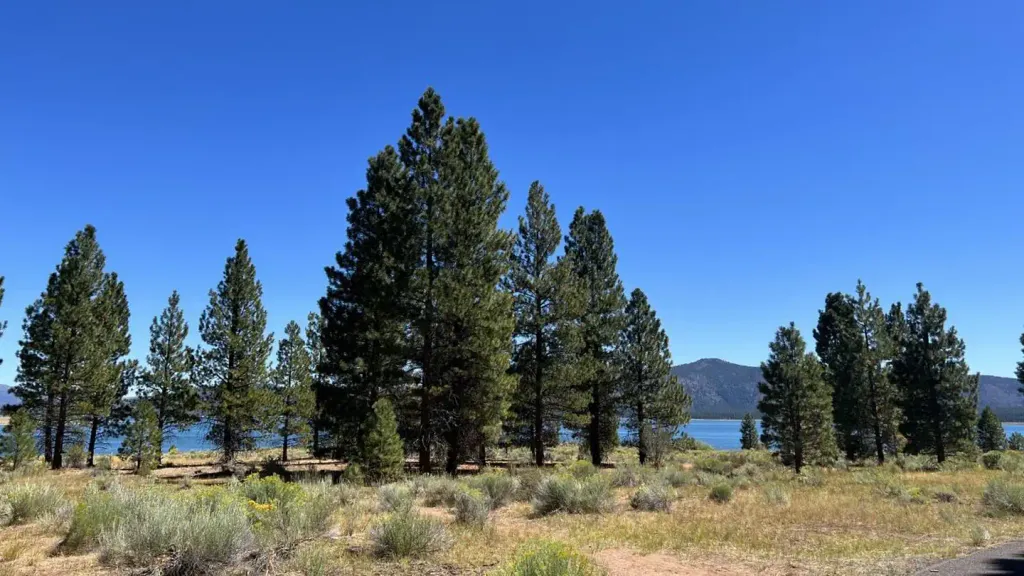 CHRISTIE CAMPGROUND