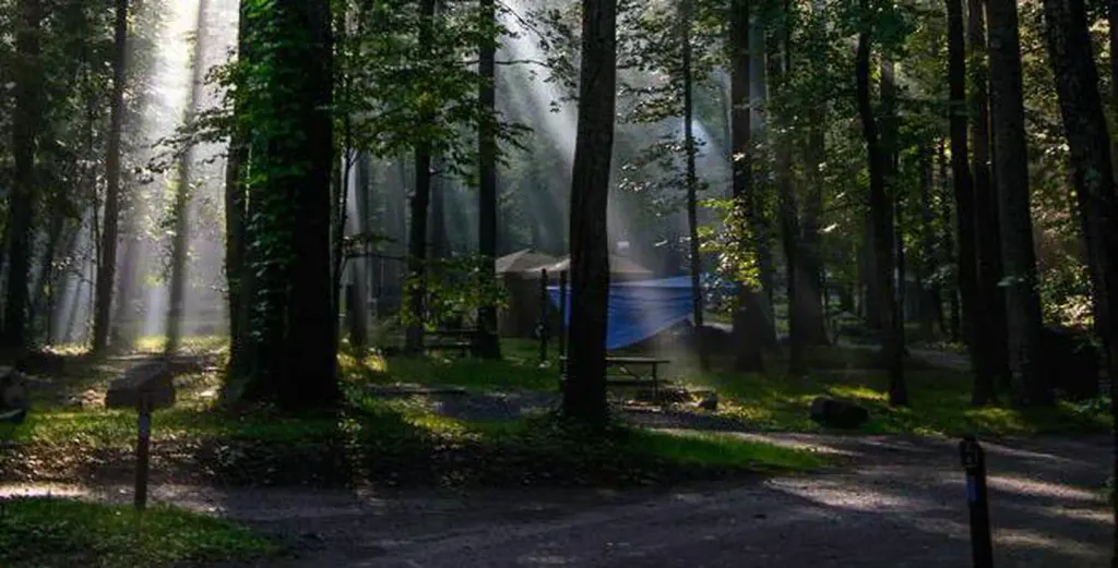 ABRAM'S CREEK CAMPGROUND