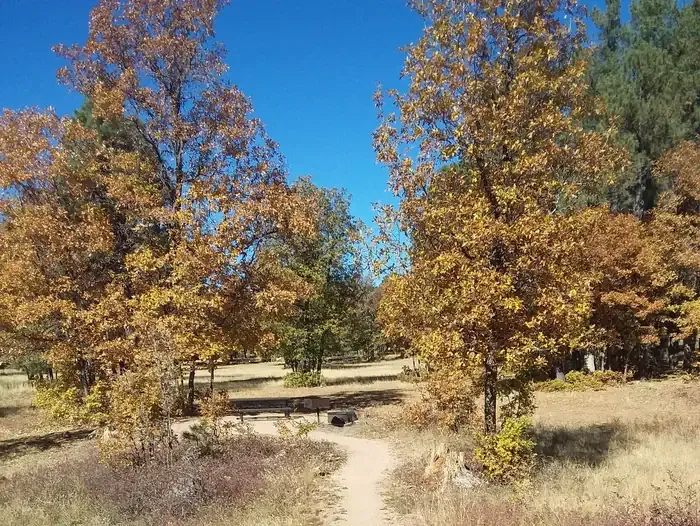 ASPEN (AZ)