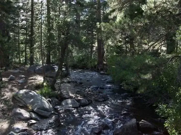 GREEN CREEK GROUP