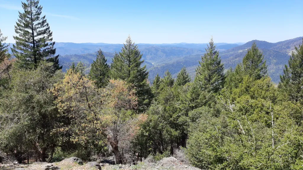 PINE MOUNTAIN LOOKOUT