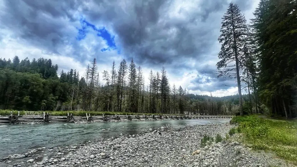 Gold Basin Campground