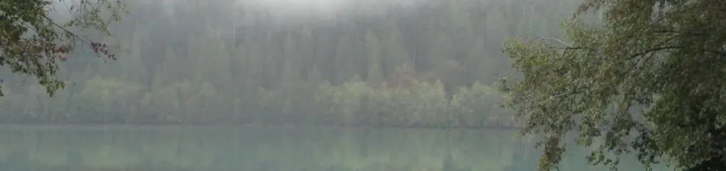 Horseshoe Cove Campground