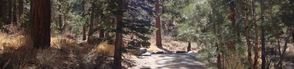 REVERSED CREEK CAMPGROUND