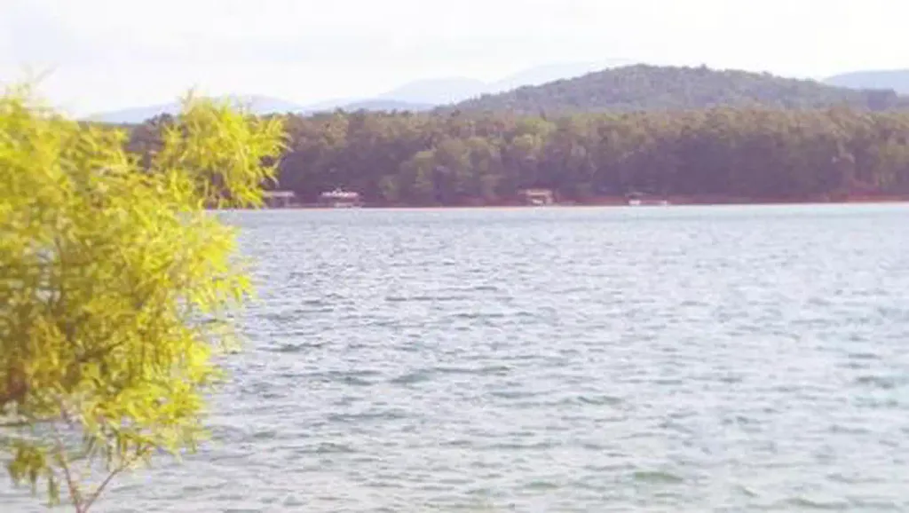 MORGANTON POINT