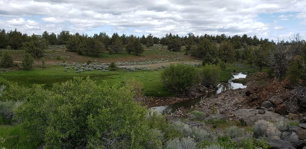 Duncan Reservoir Campground
