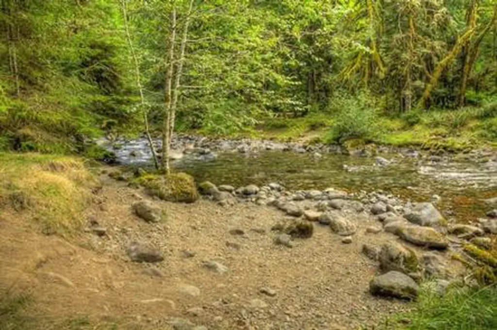 North Fork Beaver Group Camp