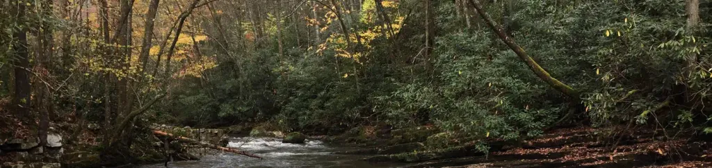 BACKBONE ROCK CAMPGROUND