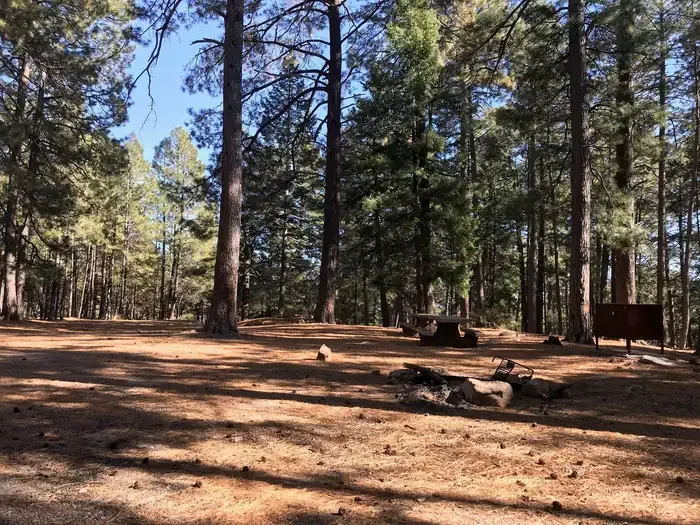 UPPER TWILIGHT GROUP SITE
