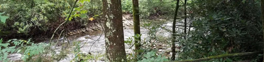 BLACK MOUNTAIN CAMPGROUND