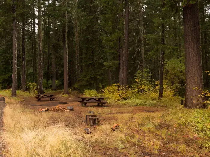 Atkisson Group camp