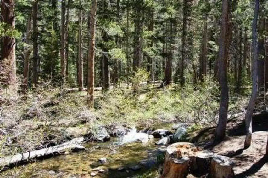 Coldwater Campground - Inyo NF (CA)