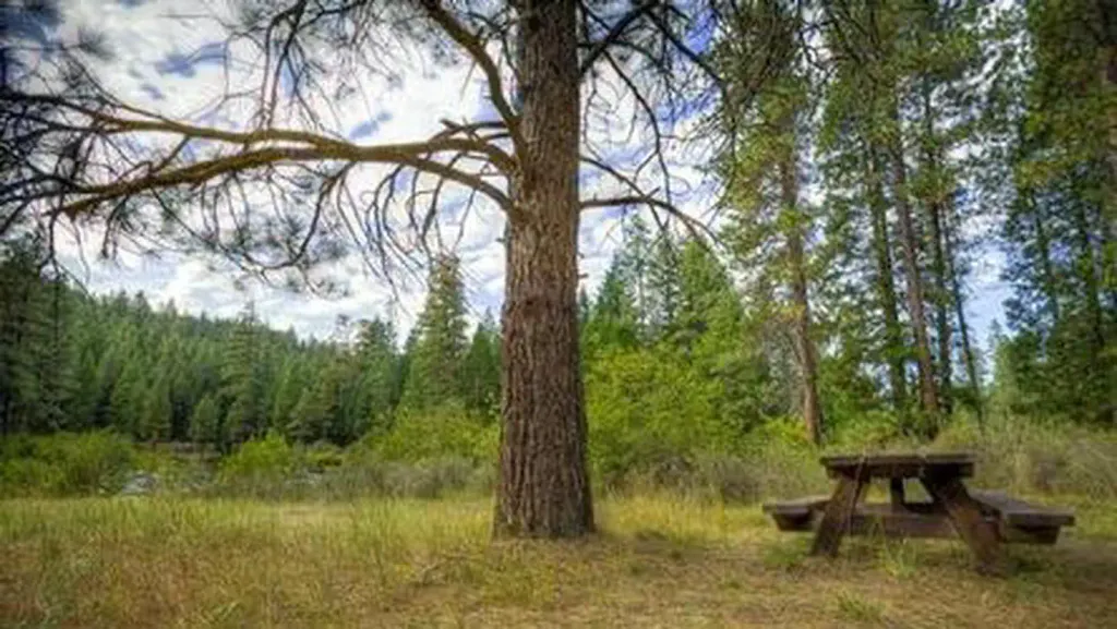 ALLEN SPRINGS CAMPGROUND