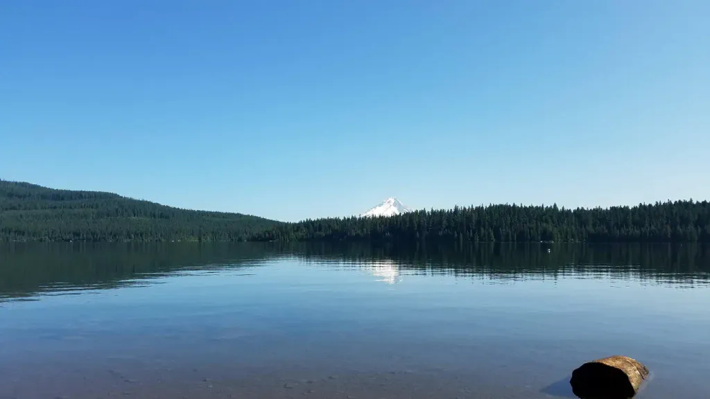 Hoodview Campground (Timothy Lake, OR)