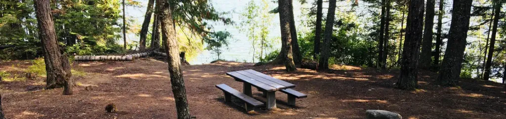 OUTLET AT PRIEST LAKE