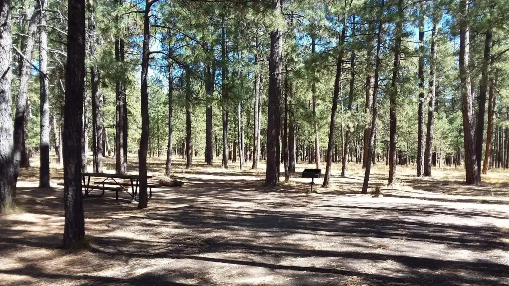 CANYON POINT