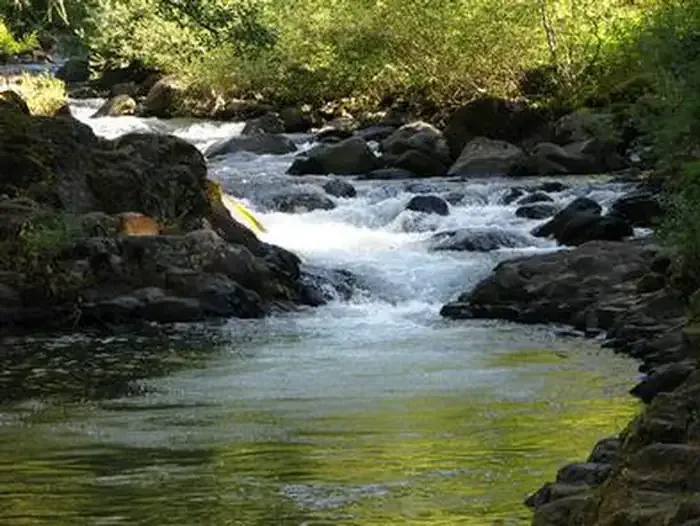 ROARING RIVER