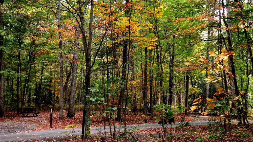 OAK RIDGE CAMPGROUND