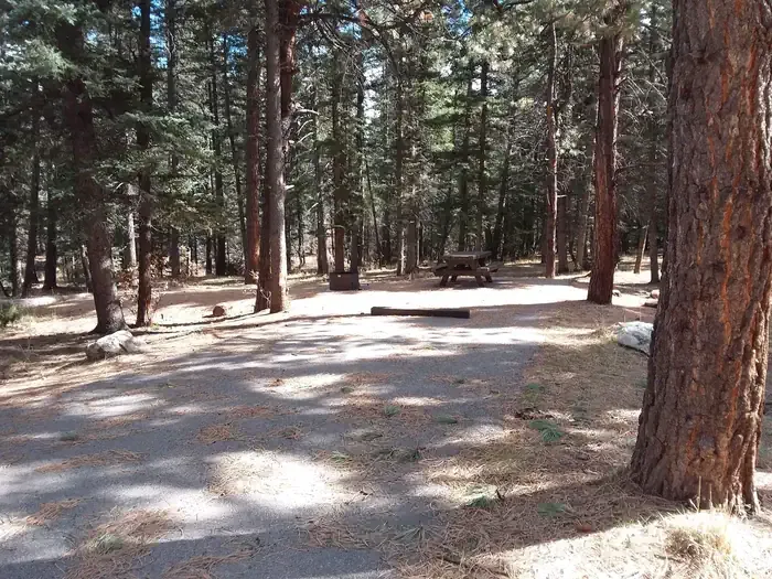 CLEAR CREEK CAMPGROUND (NM)