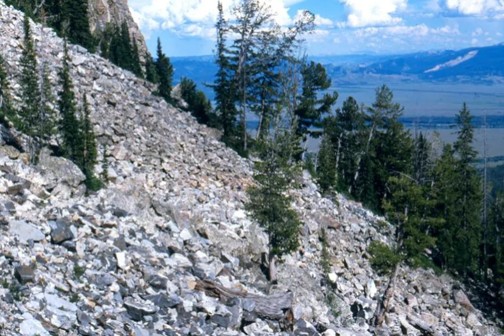 Talus Slope