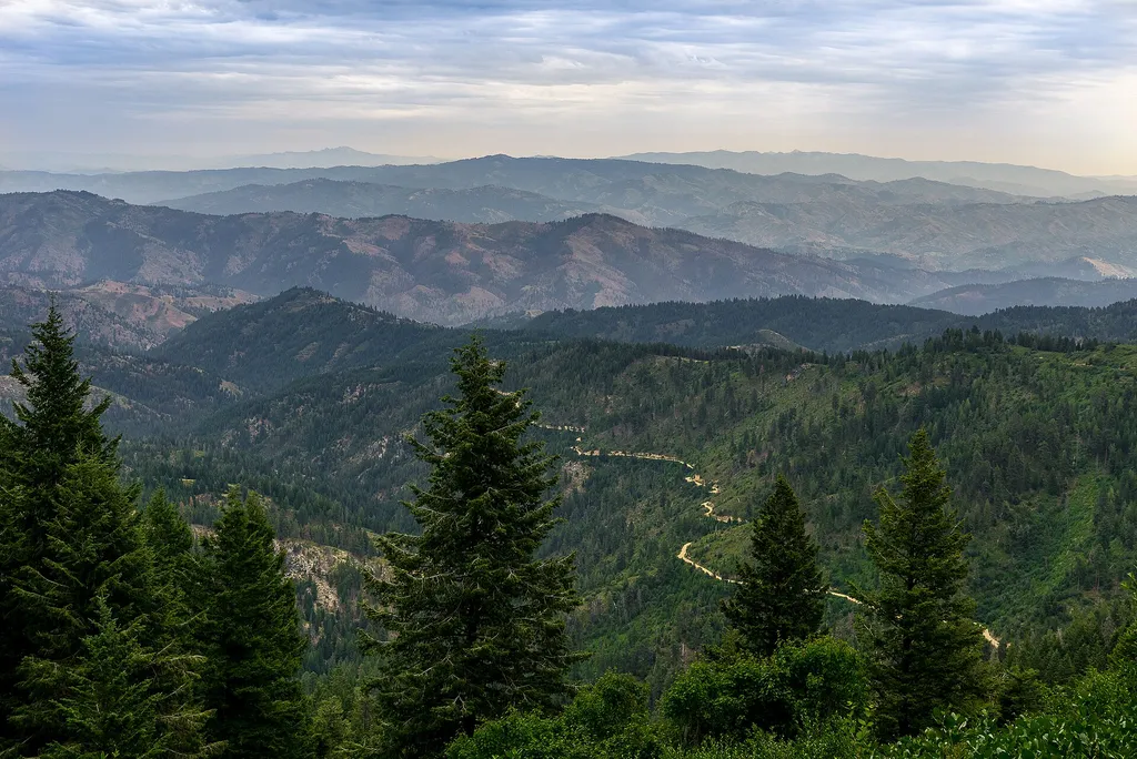 Mores Mountain Interpretive Trail