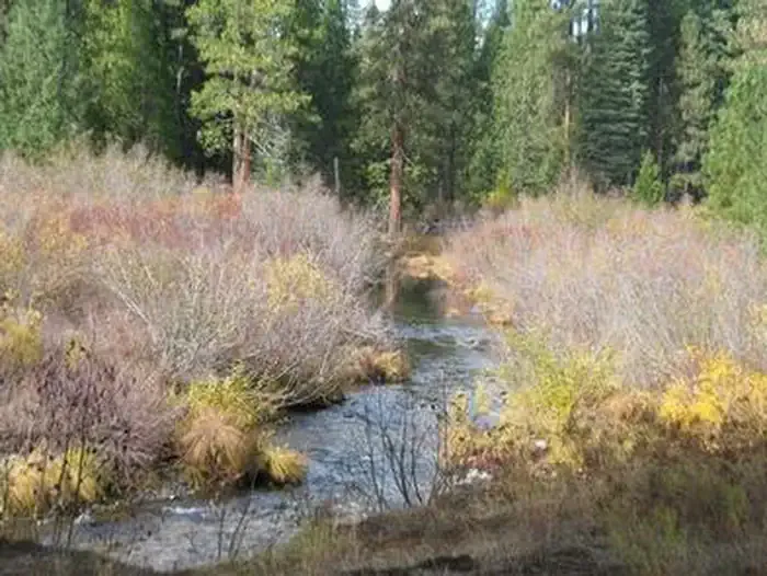 CAMP 4 GROUP CAMPGROUND