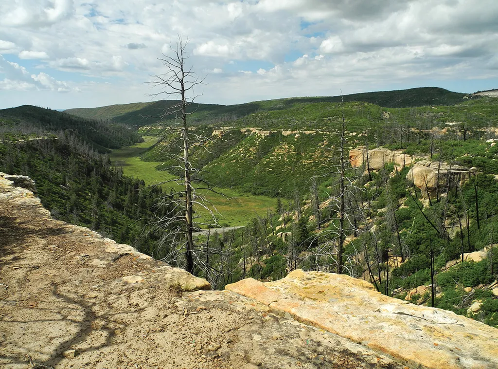 Prater Ridge Trail