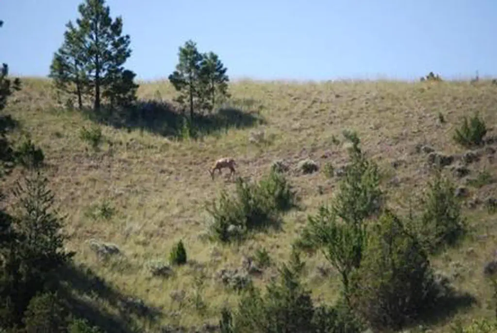 White Earth Campground