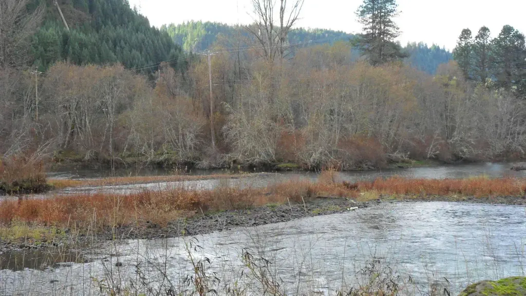 TOKETEE GROUP SITE