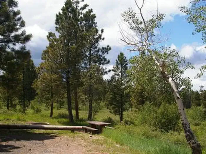 SKULL CREEK
