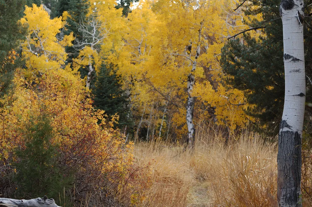 Pole Canyon Trailhead