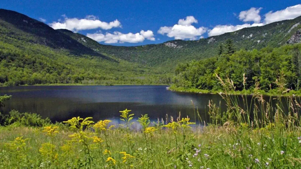 BASIN CAMPGROUND
