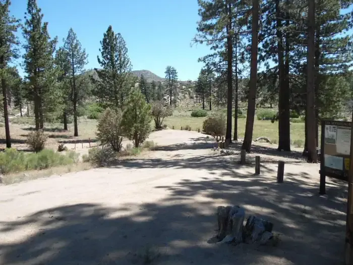 IRONWOOD GROUP CAMP