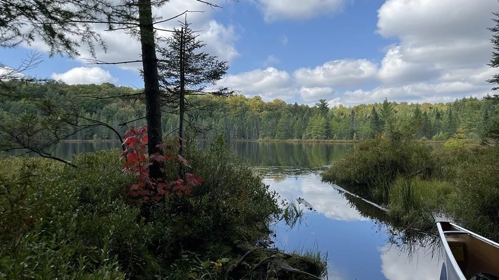 SYLVANIA WILDERNESS BACKCOUNTRY CAMPING