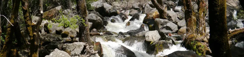 Bridalveil Creek Campground