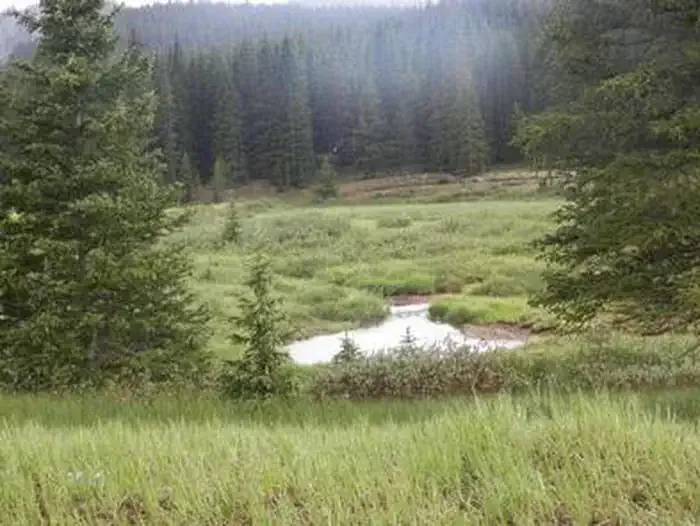 Camping in SALIDA, Colorado