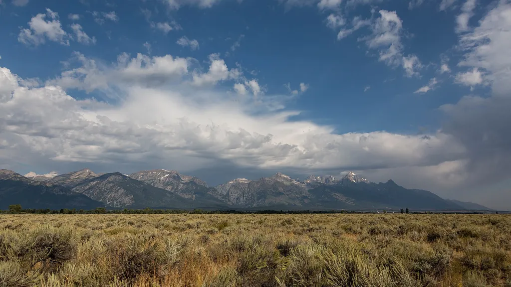 Gros Ventre Pathway Hub