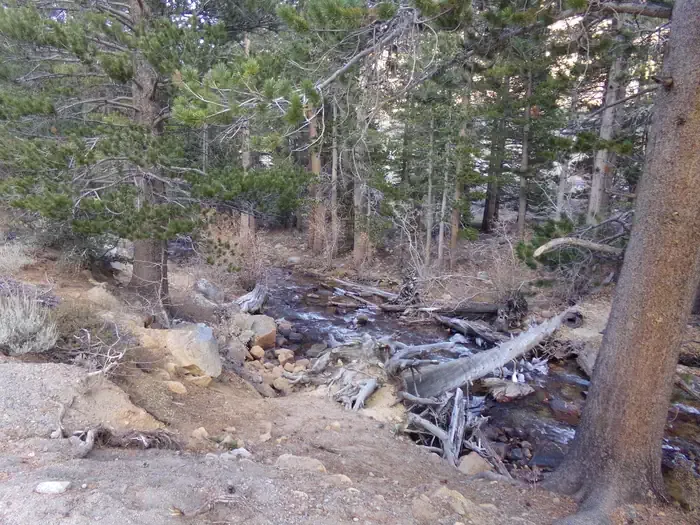 PALISADES GROUP CAMPGROUND