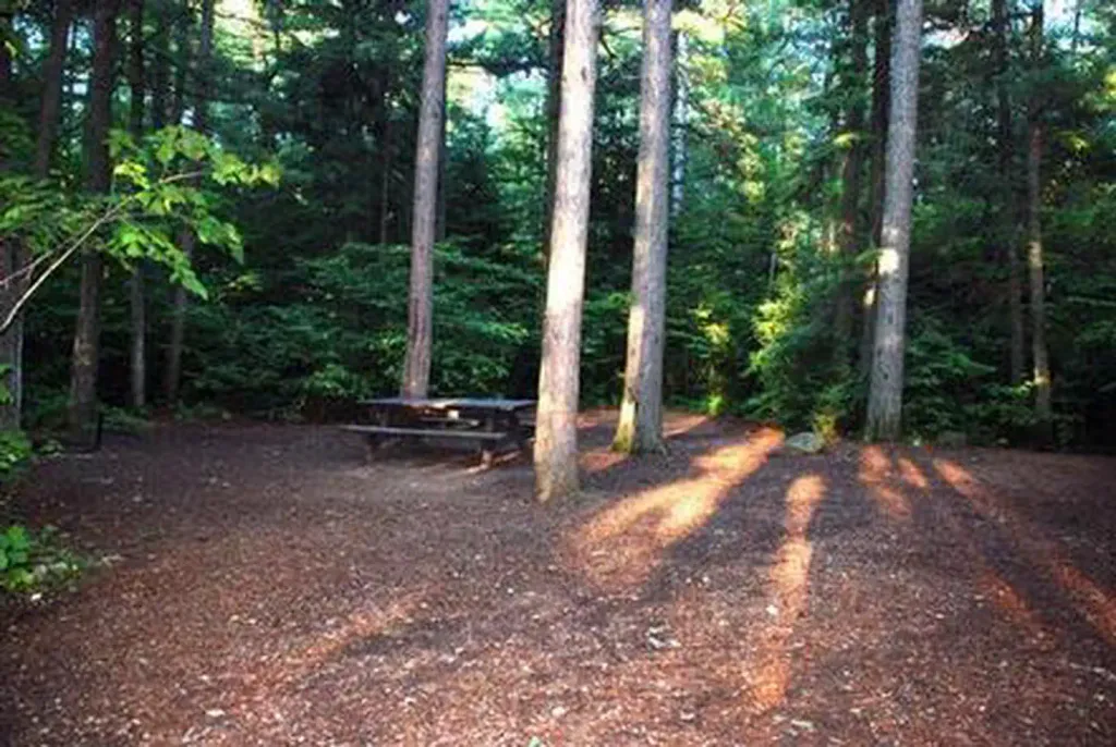 Sawbill Lake Campground - Superior National Forest