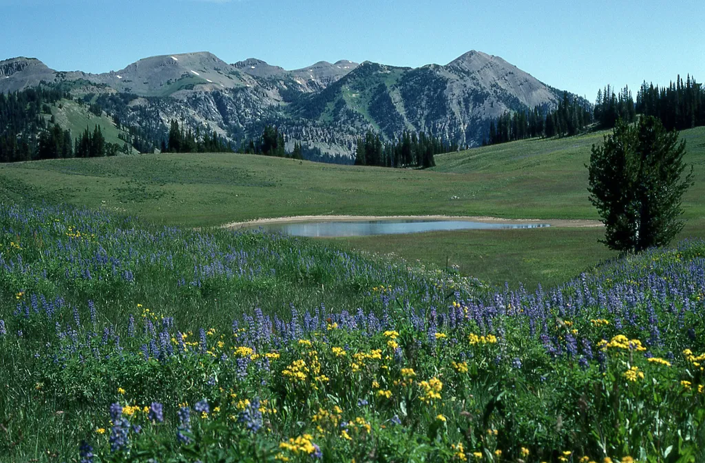 Granite Canyon Trailhead
