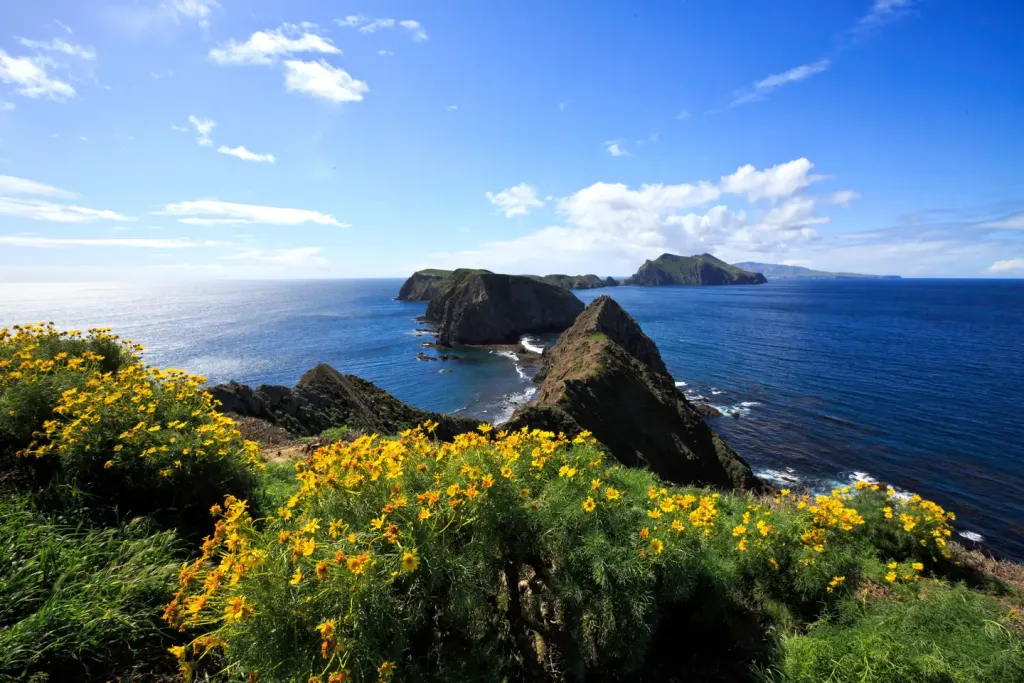 ANACAPA ISLAND