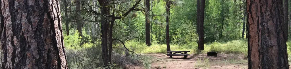 INDIAN FORD CAMPGROUND
