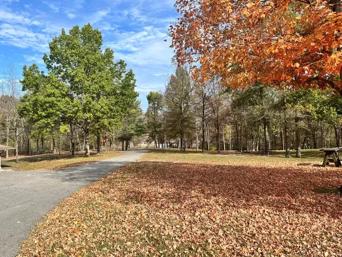 NORTH FORK (KY)