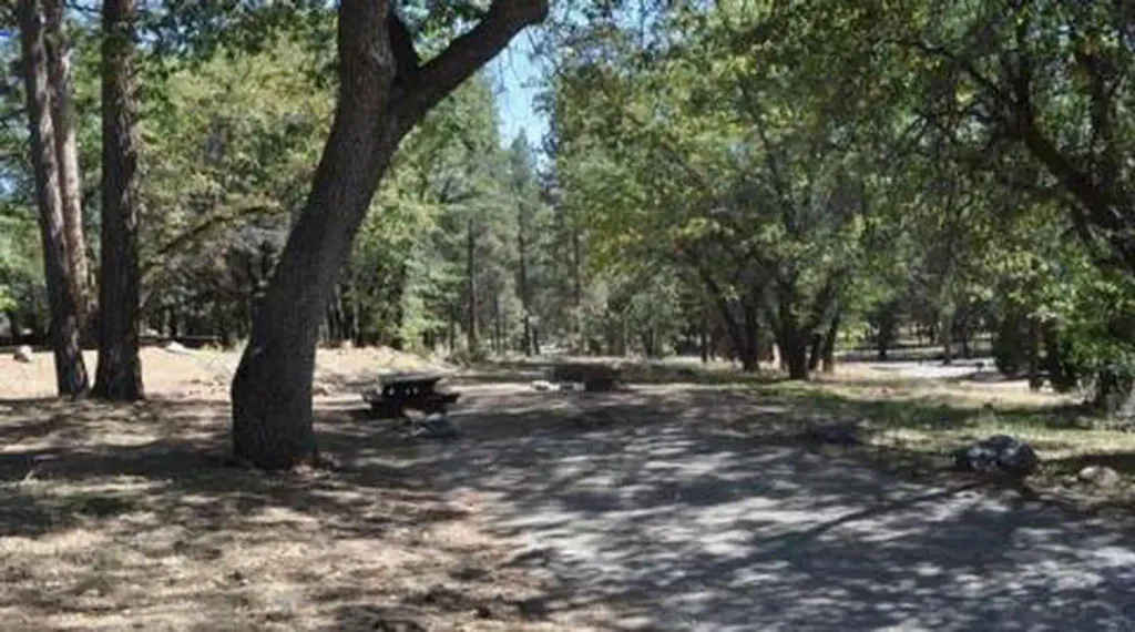 SAN GORGONIO